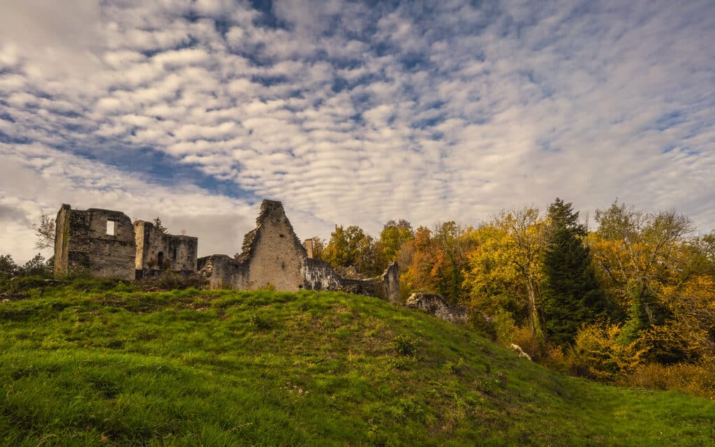 Patrimoine Chateau de présilly