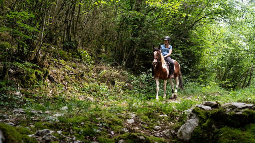 Randonnée à cheval en Terre d'Émeraude