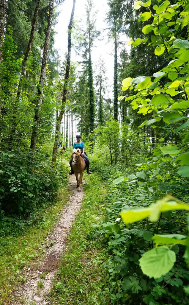 randonée a cheval jura crenans