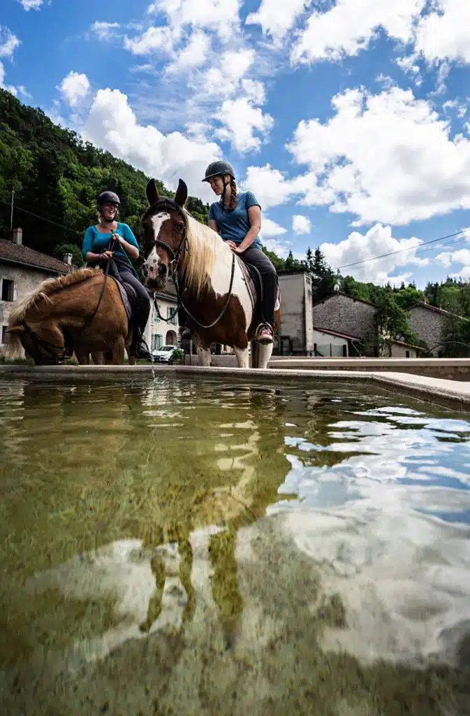 crenans cheval fontaine jura