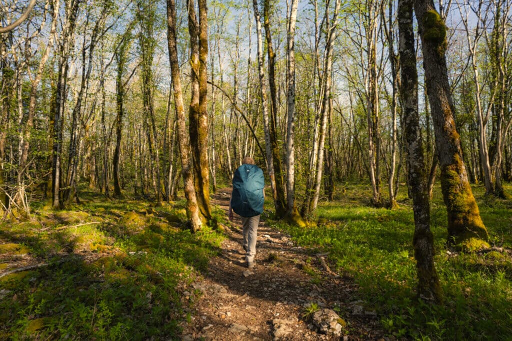 foret au dessus du lac de chalain jura