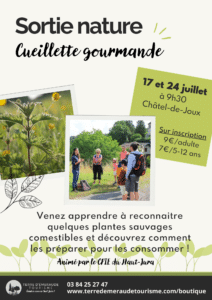 sortie nature cueillette gourmande