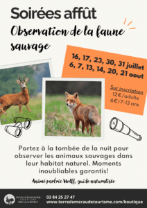 Soirées affut observation de la faune sauvage