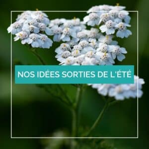 Vignette nos idées sorties de l'été