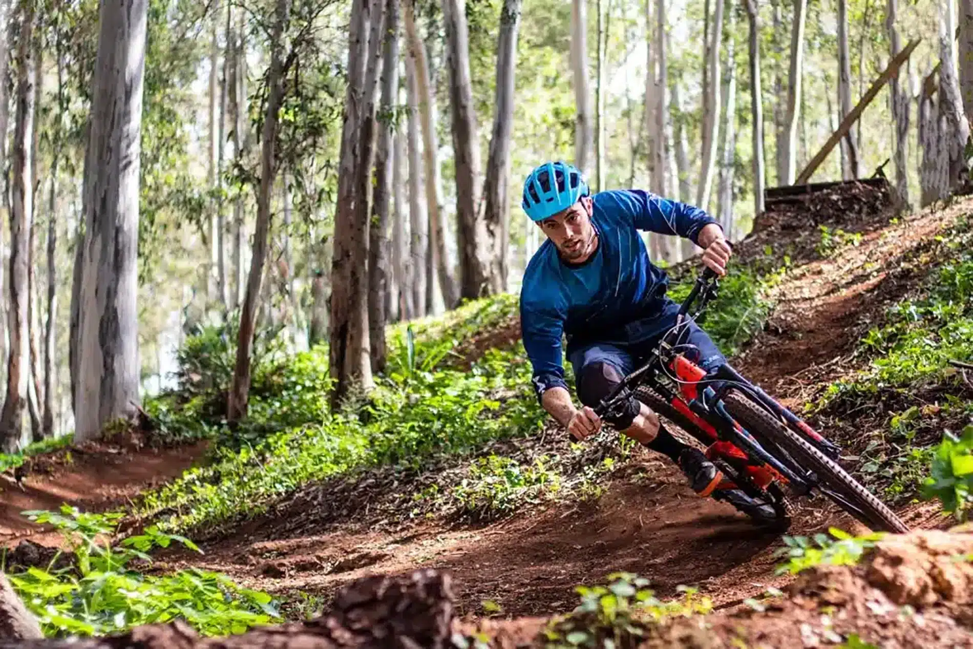 De nombreux chemins de VTT balisés vous attendent en Terre d'Émeraude