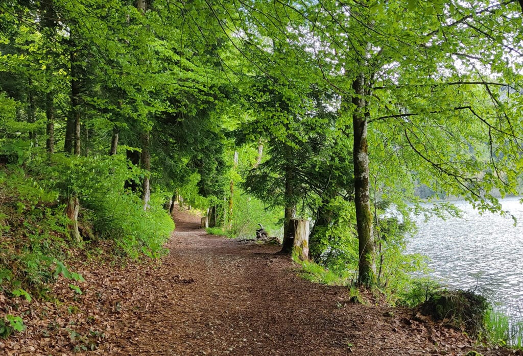 Tour du Lac de Bonlieu