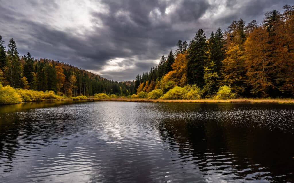 Lac de la Fauge automne